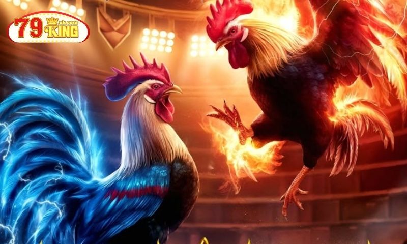 Mẹo cược đá gà 79king đảm bảo thắng lớn