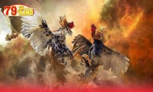 Đá gà trực tuyến 79king